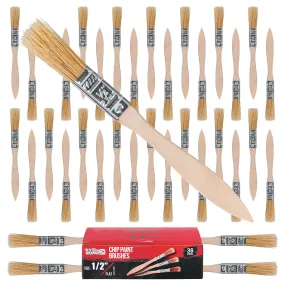 36 Pack of 1/2 inch Paint and Chip Paint Brushes for Paint, Stains, Varnishes, Glues, and Gesso