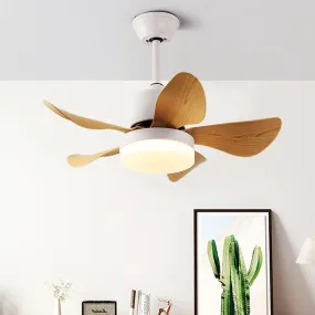 Frankel | Lighted Ceiling Fan