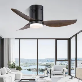 Gilgeous | Lighted Ceiling Fan