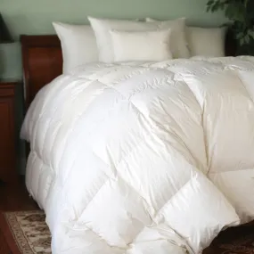 Natural Nights 700 Winter Weight Down Comforter-King (105" x 90")