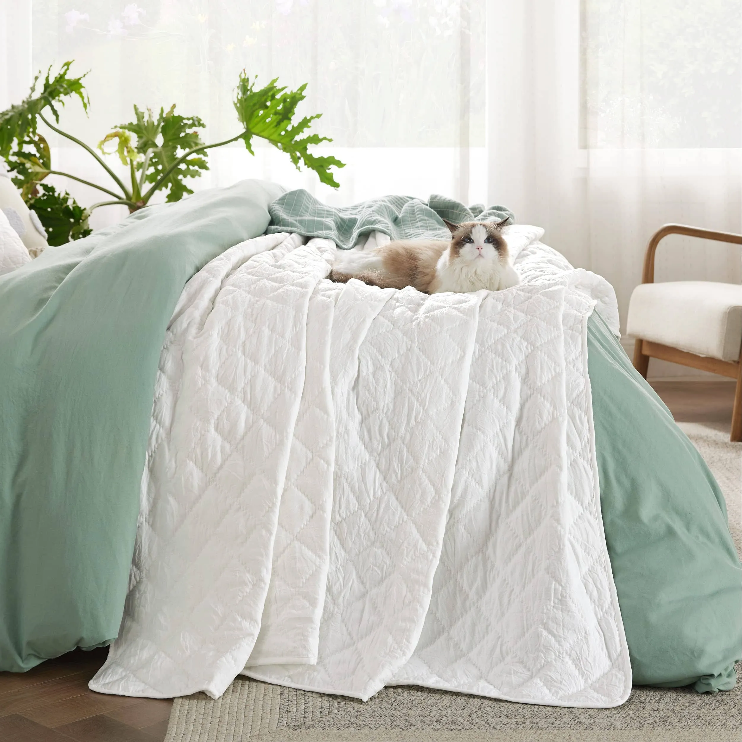 Prewashed Microfiber Quilt Set