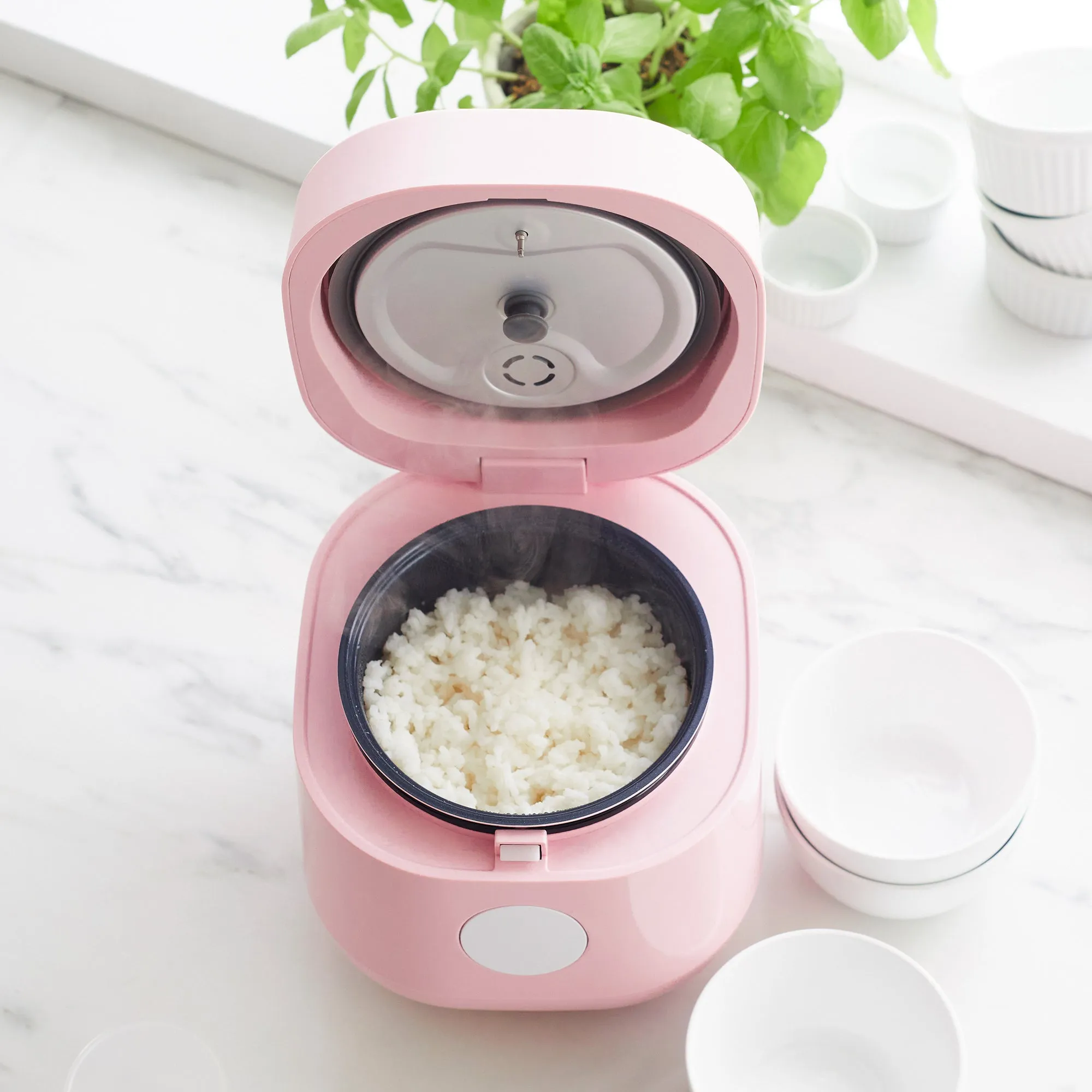 Rice & Beans Cooker