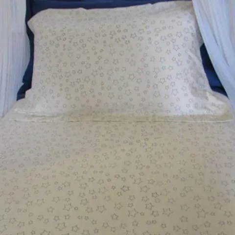 Simple Luxury Quilt Set in Natural Star Design