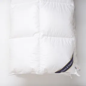 Snuggle Soft 600 Winter Weight Down Comforter - Cal. King (115" x 110")