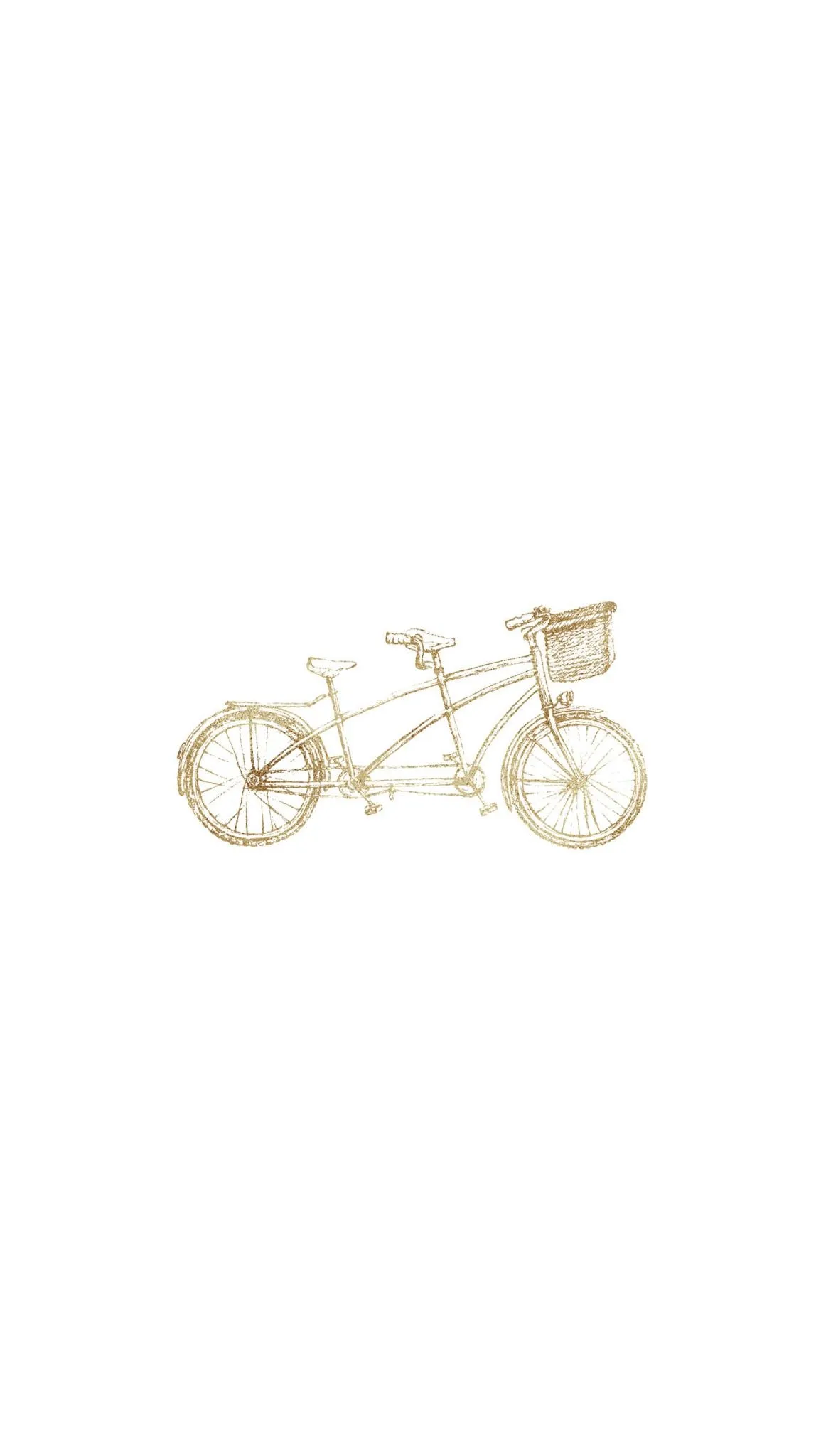 Vintage Bicycle